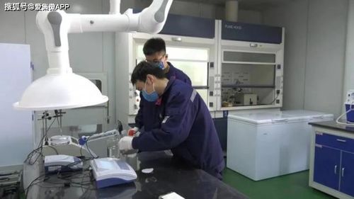 高新硅基與生物基材料齊頭并進 興洋科技項目立項與研發新突破