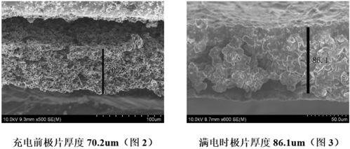 技術前沿│全球硅基負極材料專利數量已逾萬件 探尋生物硅負極材料的秘密